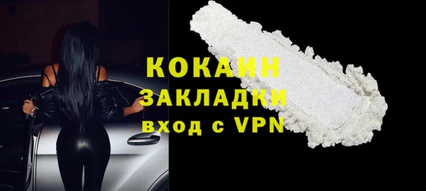 твердый Осинники