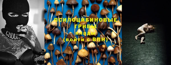 спиды Киренск