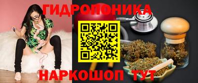 тгк Кинель