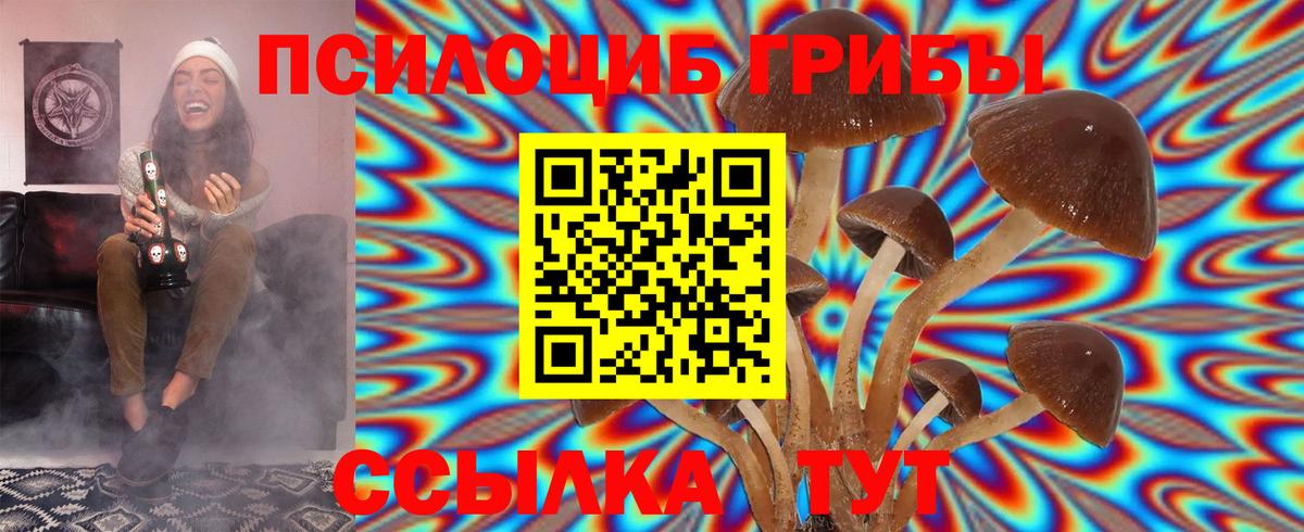 Галлюциногенные грибы Psilocybe  Южноуральск  Псилоцибиновые грибы прущие грибы 