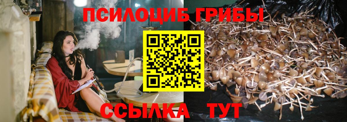Псилоцибиновые грибы мухоморы  Вход с VPN  наркота  Галлюциногенные грибы мухоморы  Южноуральск 