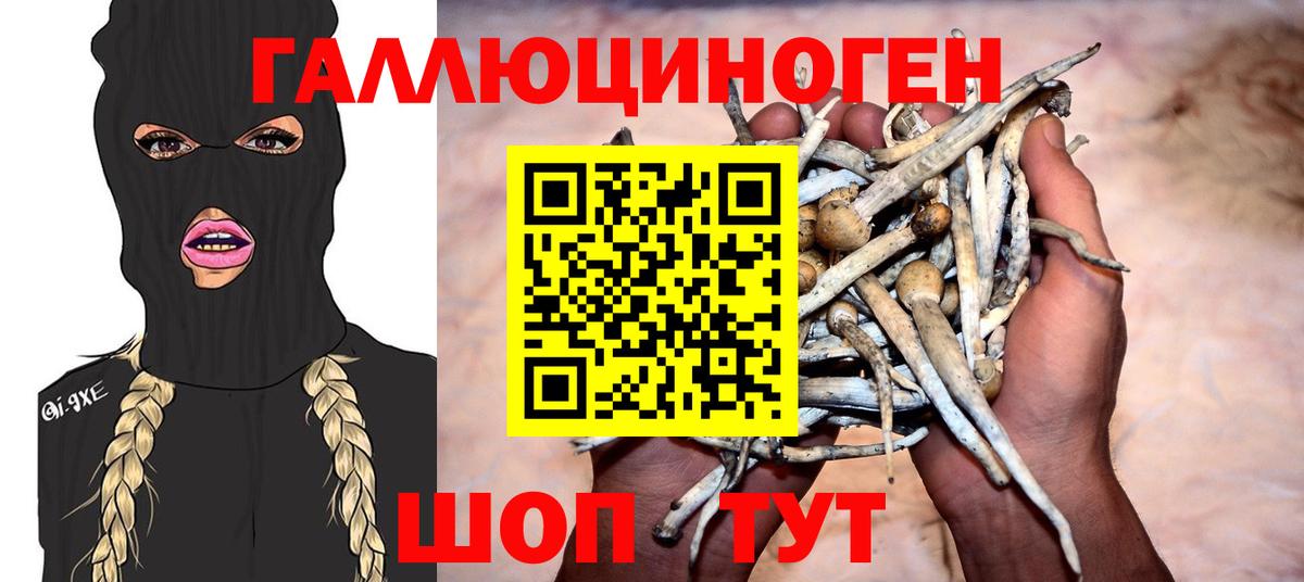 Псилоцибиновые грибы ЛСД Южноуральск