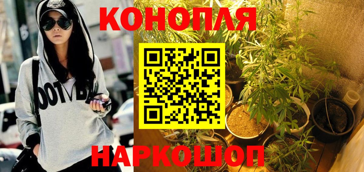 Шишки марихуана план  Марихуана White Widow  Канабис THC 21%  Южноуральск  Канабис OG Kush  Вход с VPN 